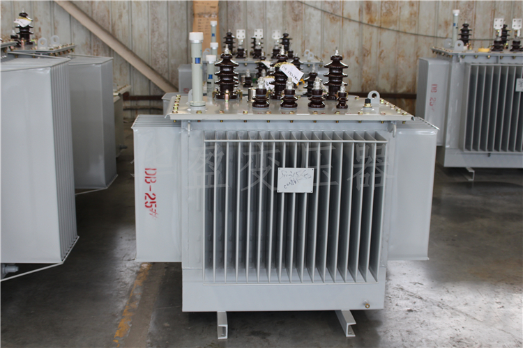 广东S20-800kVA/10kV/0.4kV变压器